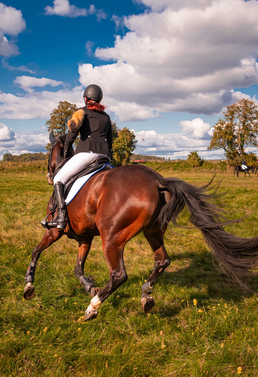 Gutschein Reitstunde Zum Ausdrucken